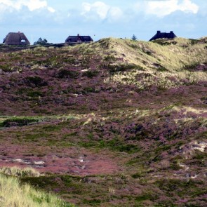 Malreise Sylt I 1 Content