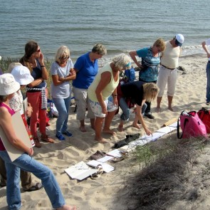 Malreise Sylt II 4 Content