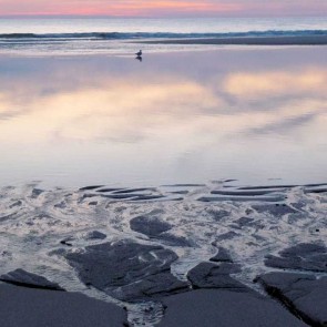 Malreise Föhr 2015