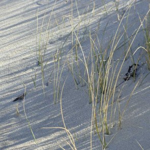 Malreise Sylt I 2015