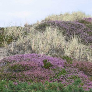 Malreise Sylt I 2015